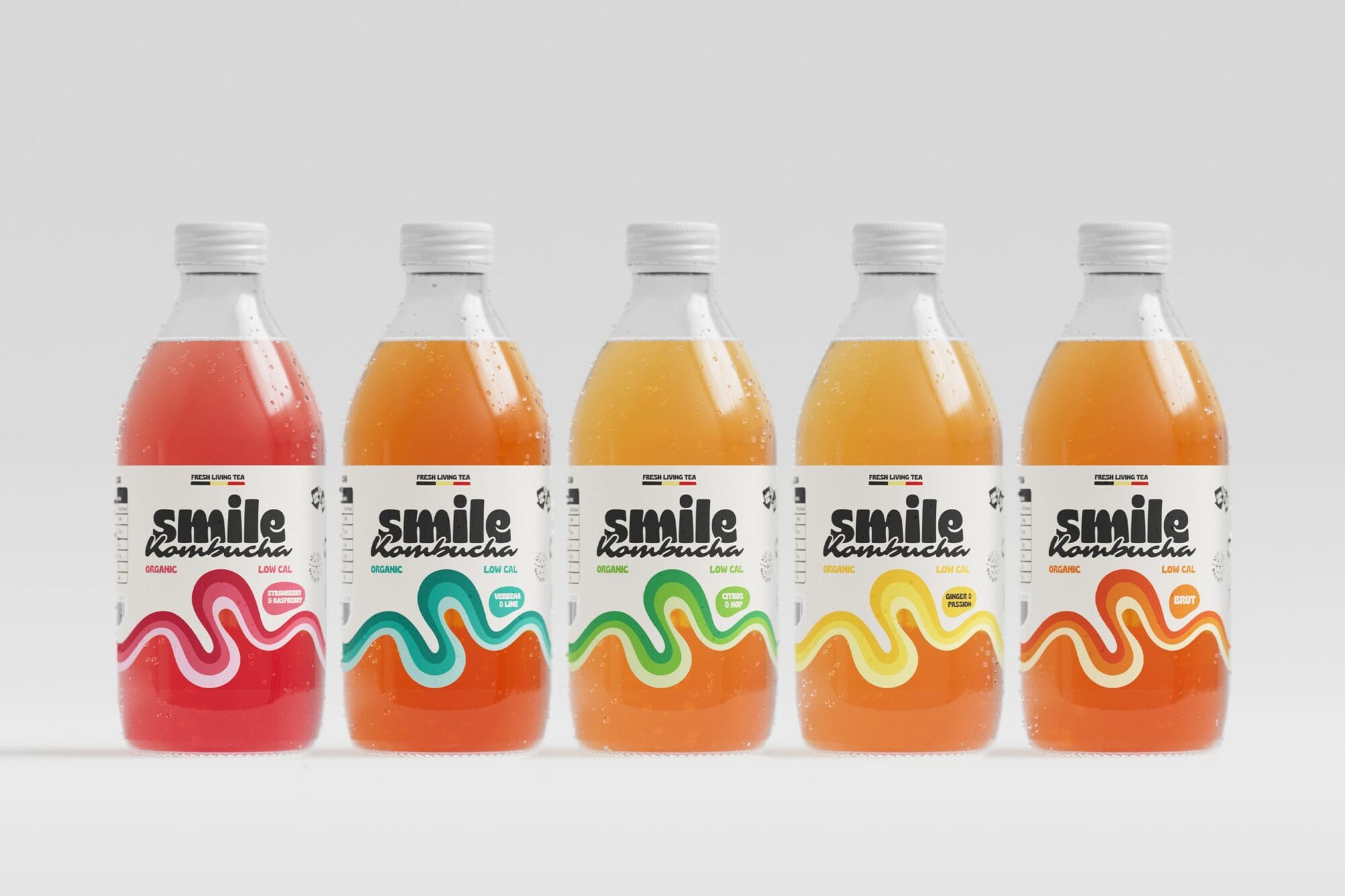 Les différents goûts des Smile kombucha en bouteille