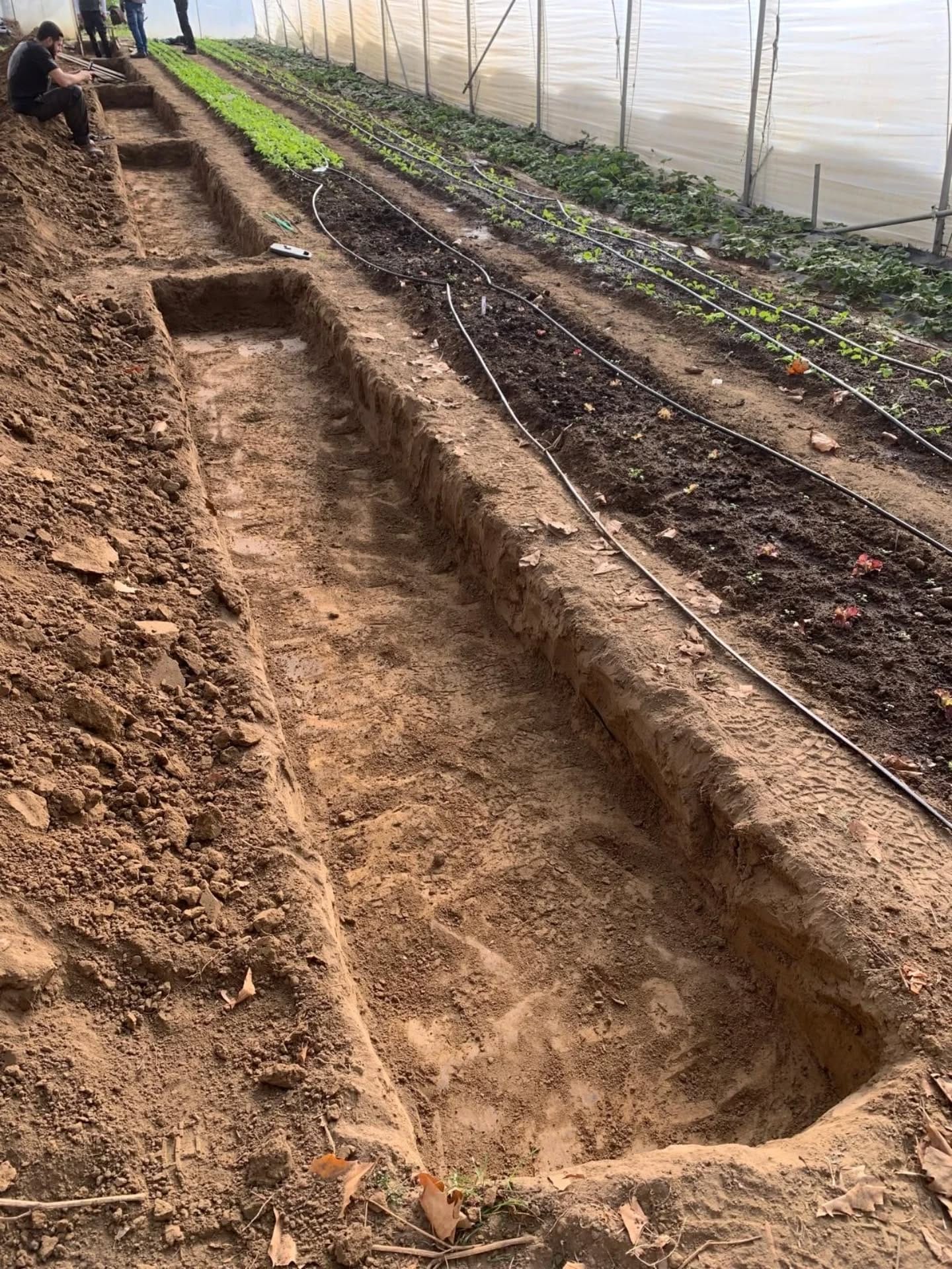 travail dans les serres de Biotiful